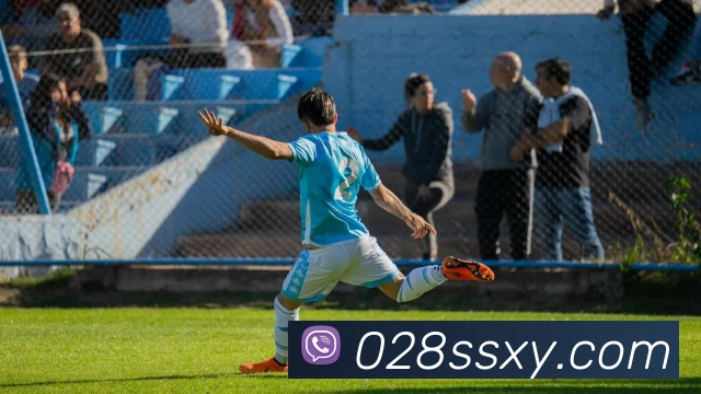 星空平台生态图